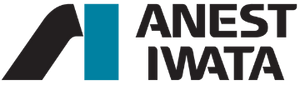 Anest Iwata